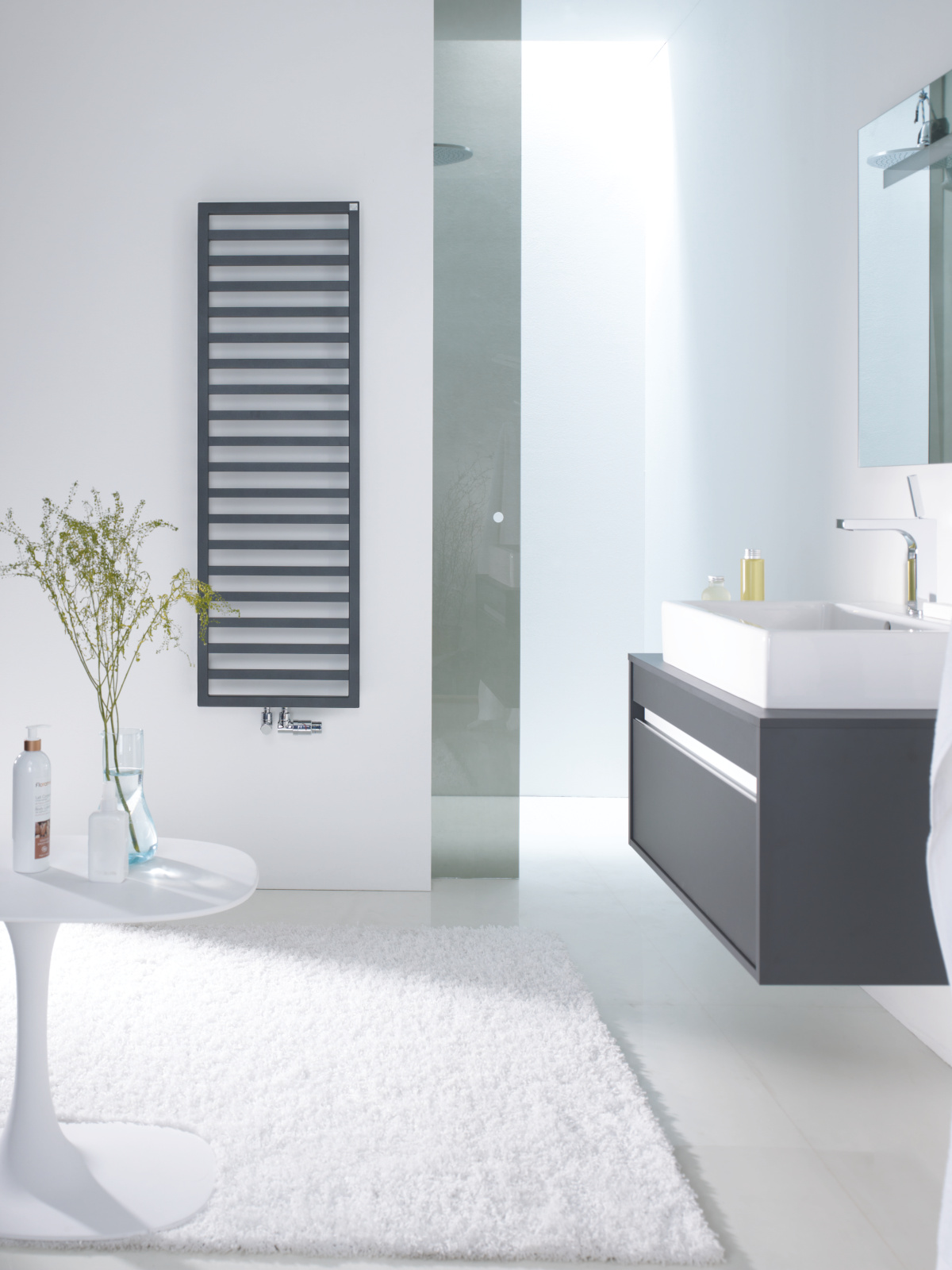 Rendering Decorative radiator 