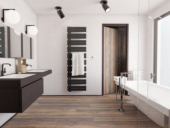 Rendering Zehnder Roda Duo Decorative radiator 