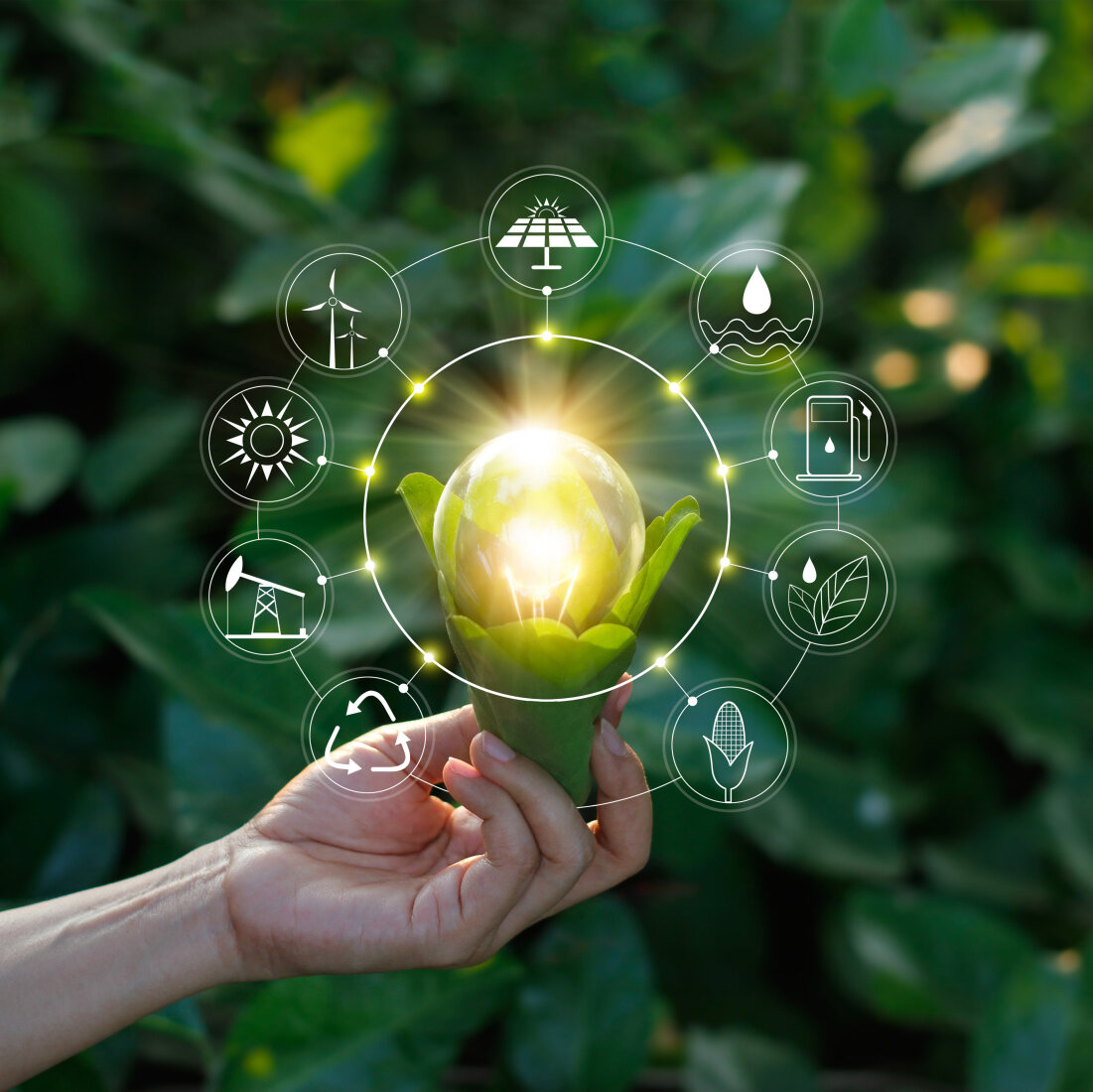 Zehnder_ALL_Energieeffizienz Hand holding light bulb against nature on green leaf with icons energy sources for renewable, sustainable development. Ecology concept. Elements of this image furnished by NASA.